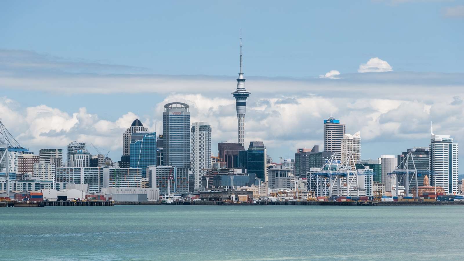 Foto de SEO Auckland Chap Auckland